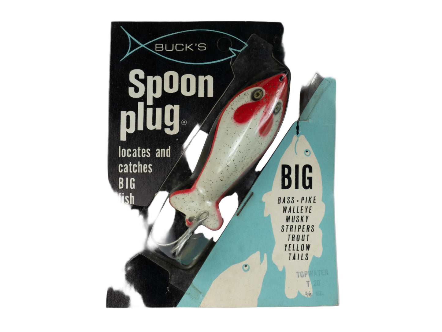 T20 21-3 Top Water Lure White and Red